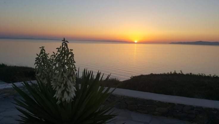 Syros Apartments Suites Chryssonisos Kíni Kültér fotó